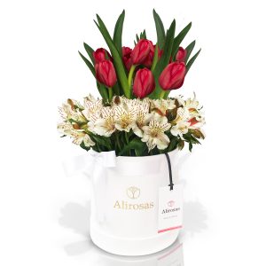Arreglo de 8 tulipanes rojos y astromelias. Delivery enviar a domicilio
