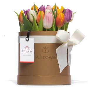 Box dorado de Tulipanes