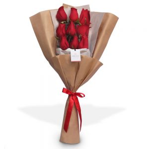 ramo de 9 rosas rojas : delivery a domicilio